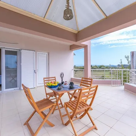 Despina Beach Dog Friendly *
