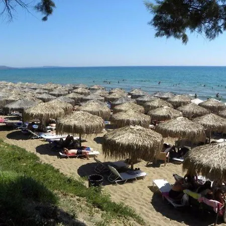 Despina Beach Dog Friendly קורוטה