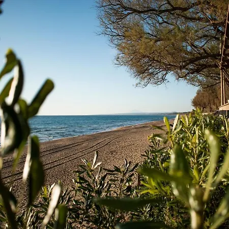 Despina Beach Dog Friendly * קורוטה